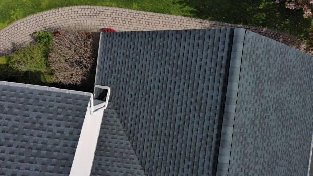 Best Roof Moss and Algae Removal  in Lake Dunlap, TX